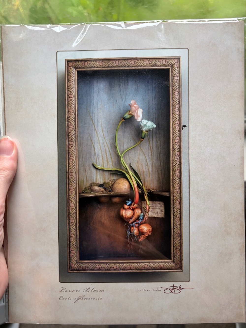 Print, Lovers Bloom by Dave Borba